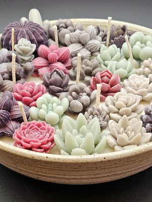 Succulent cactus candle garden