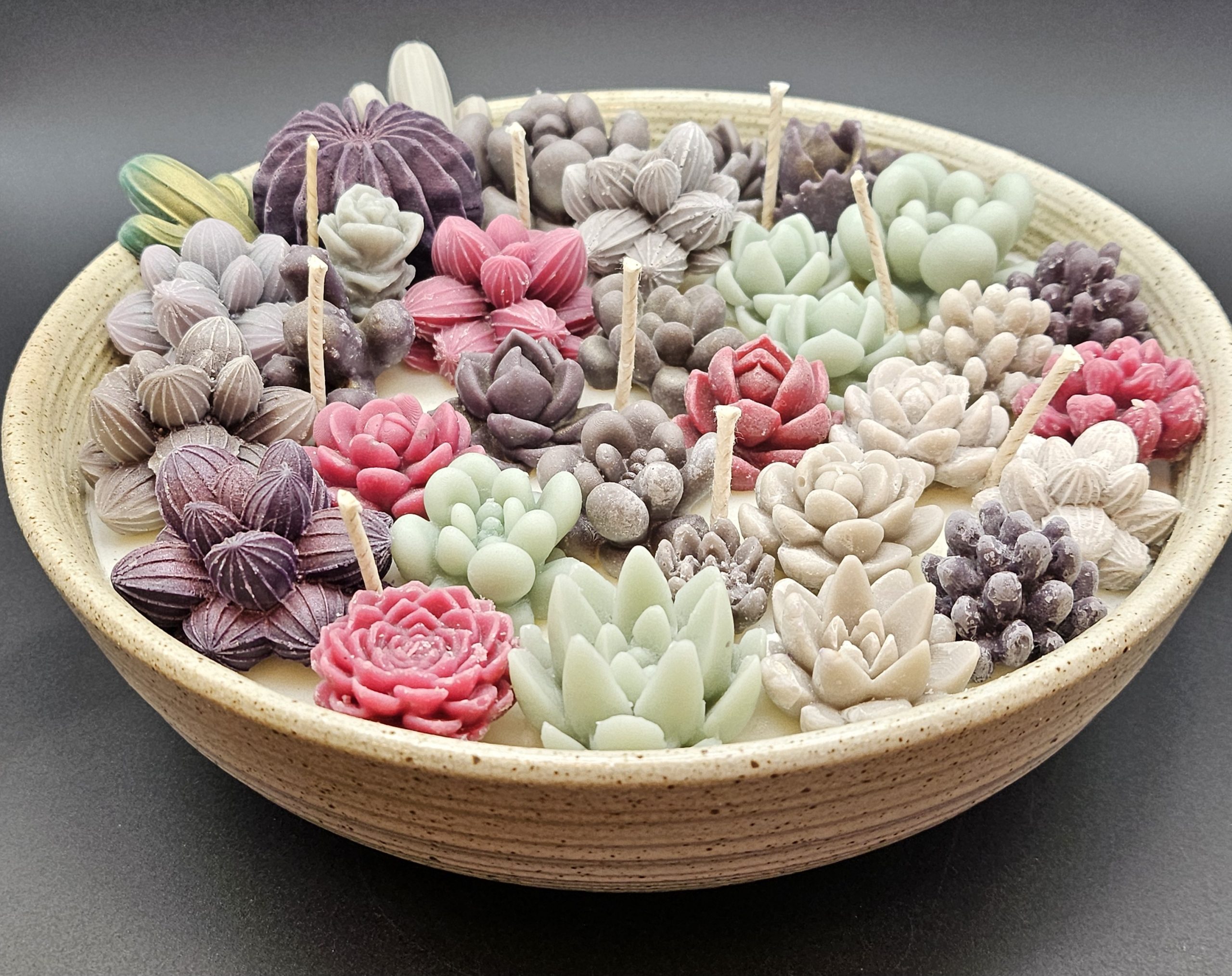 Succulent cactus candle garden
